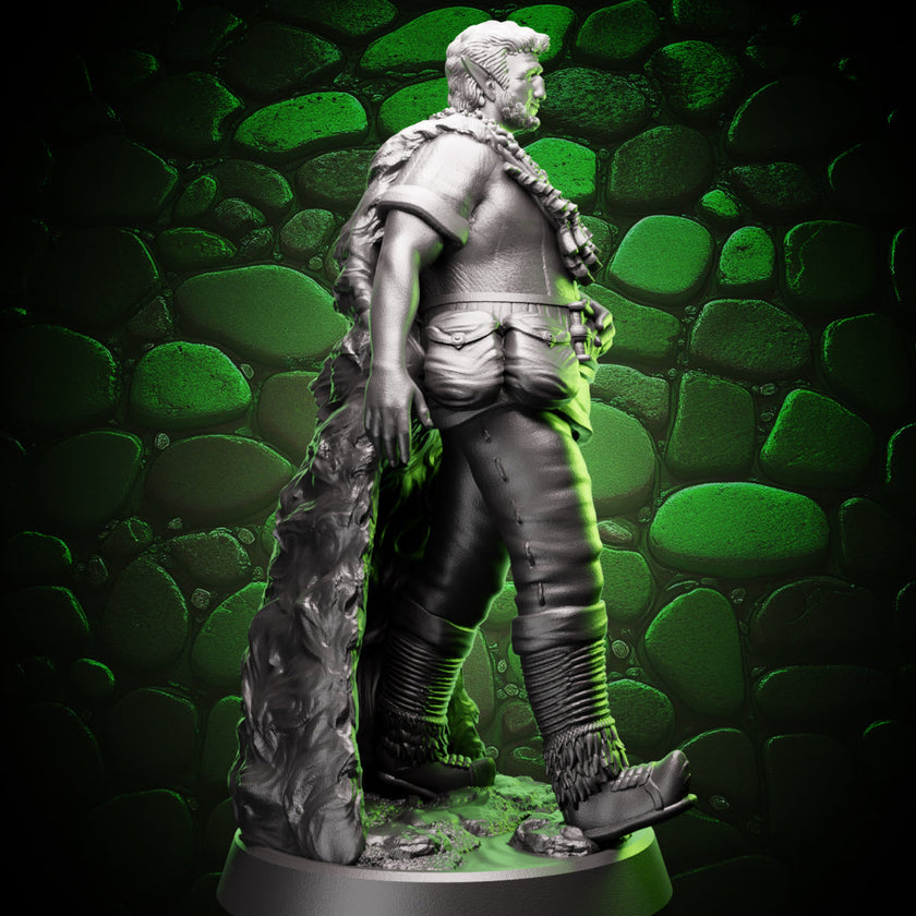 Firbolg Druid | Wanderer | 5e