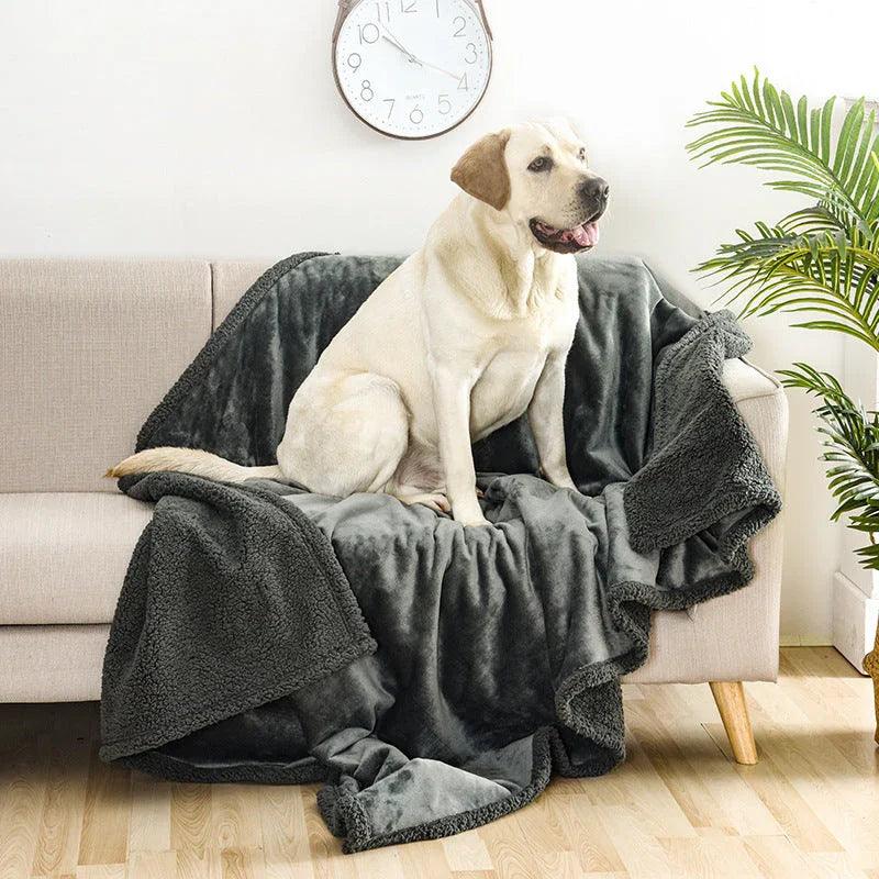 Sherpa Fleece Pet Blanket for Dogs & Cats – Grey, Black, Coffee, Beige | XS–XXL
