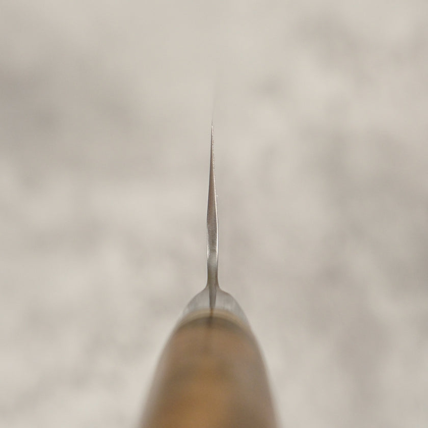 Takeshi Saji R2 Tsuchime Gyuto 210 mm