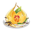 Fragrance Oil -Jasmine