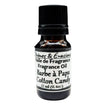 Fragrance Oil - Cotton Candy
