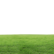 Fragrance Oil - Fresh Cut Grass