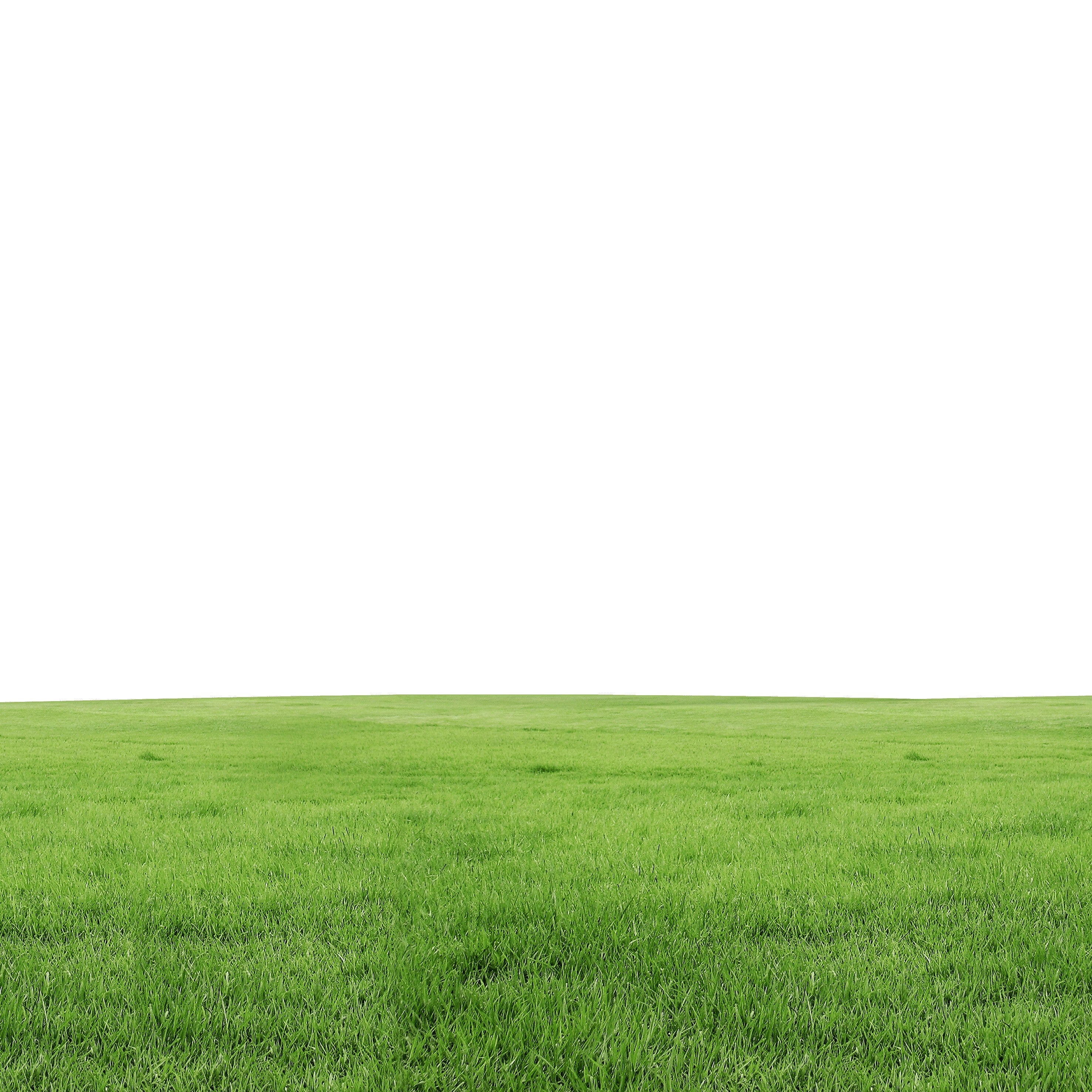 Fragrance Oil - Fresh Cut Grass