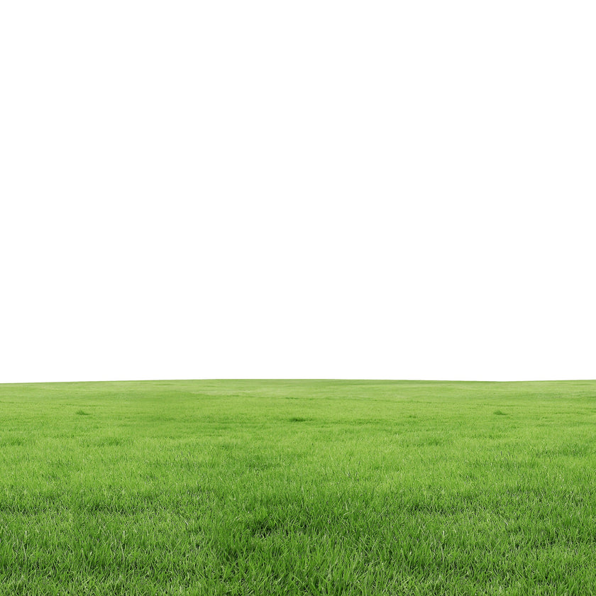 Fragrance Oil - Fresh Cut Grass