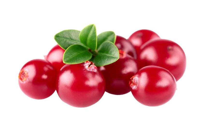 Fragrance Oil -Frosted Cranberry