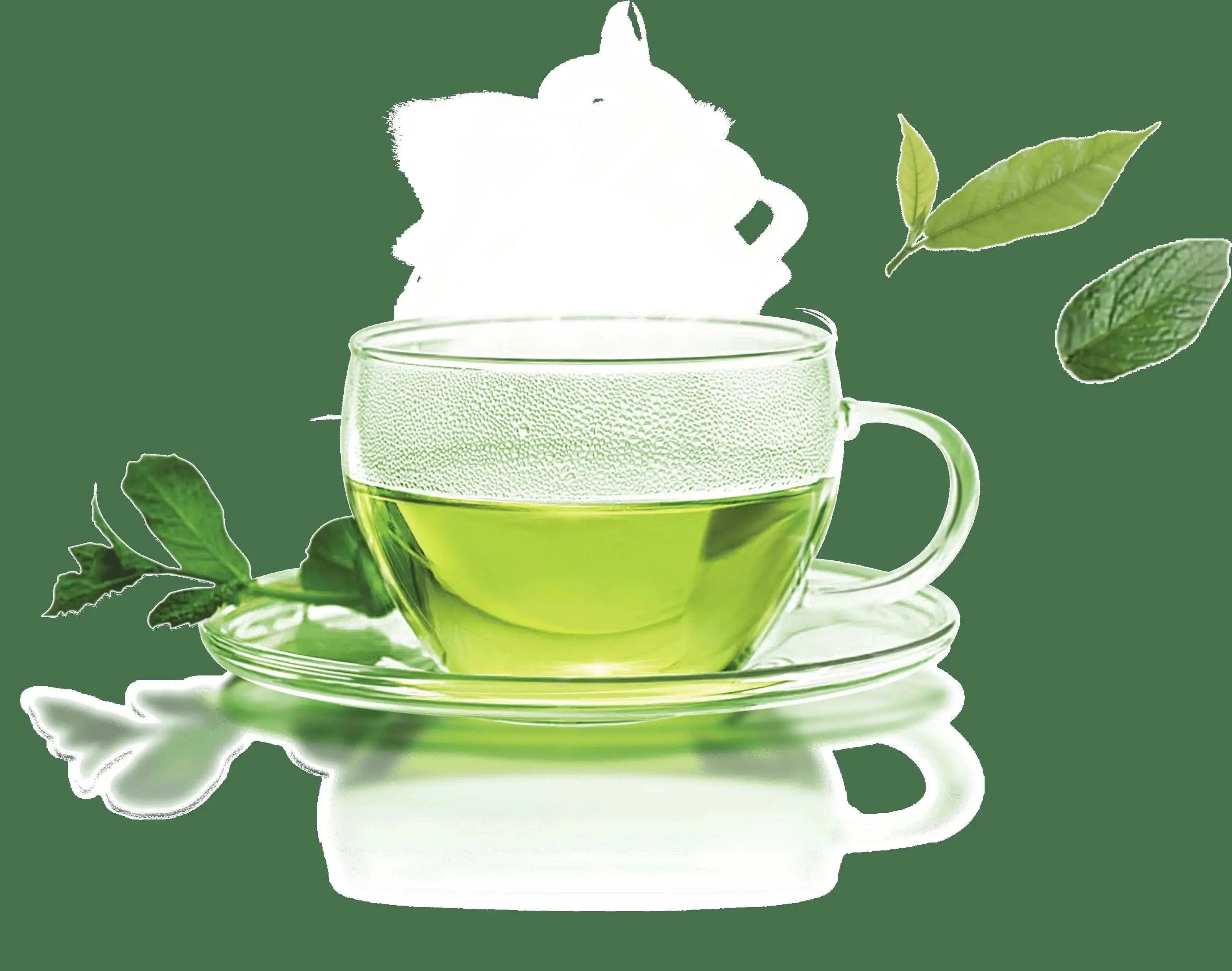 Fragrance Oil - Green Tea & White Pear