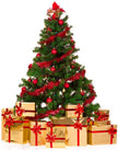 Fragrance Oil - Old Fashioned Christmas