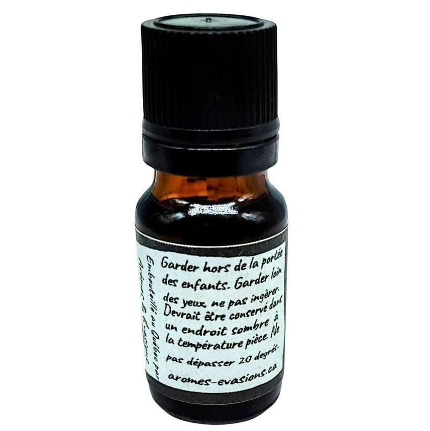 Fragrance Oil - Sensual
