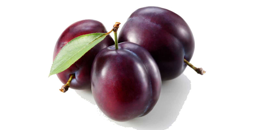 Fragrance Oil - Sugar Plums