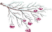 Fragrance Oil -Winterberry Wonder