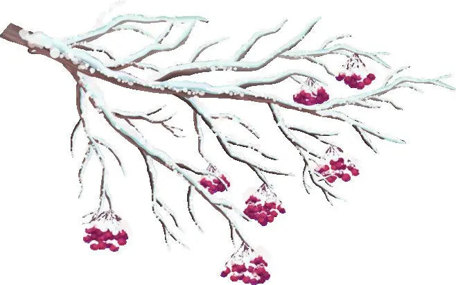 Fragrance Oil -Winterberry Wonder