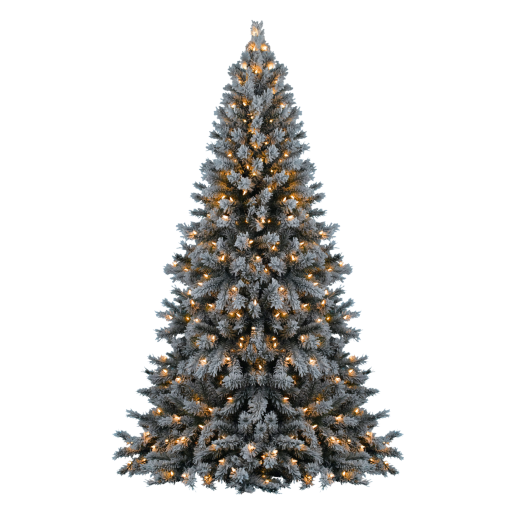 Fragrance Oil - Christmas Tree