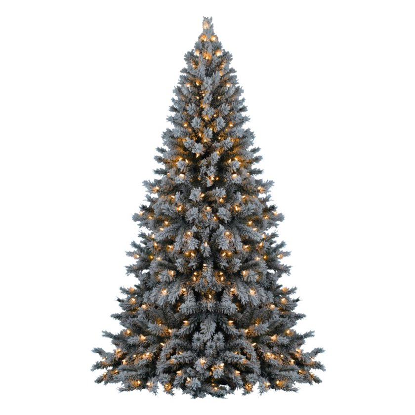 Fragrance Oil - Christmas Tree