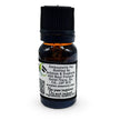 Fragrance Oil -Herbal