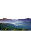 Fragrance Oil - Mountain Freshness