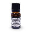 Fragrance Oil - Mountain Freshness