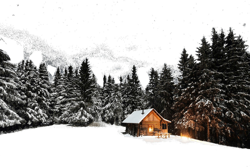 Fragrance Oil -Night at the Shack