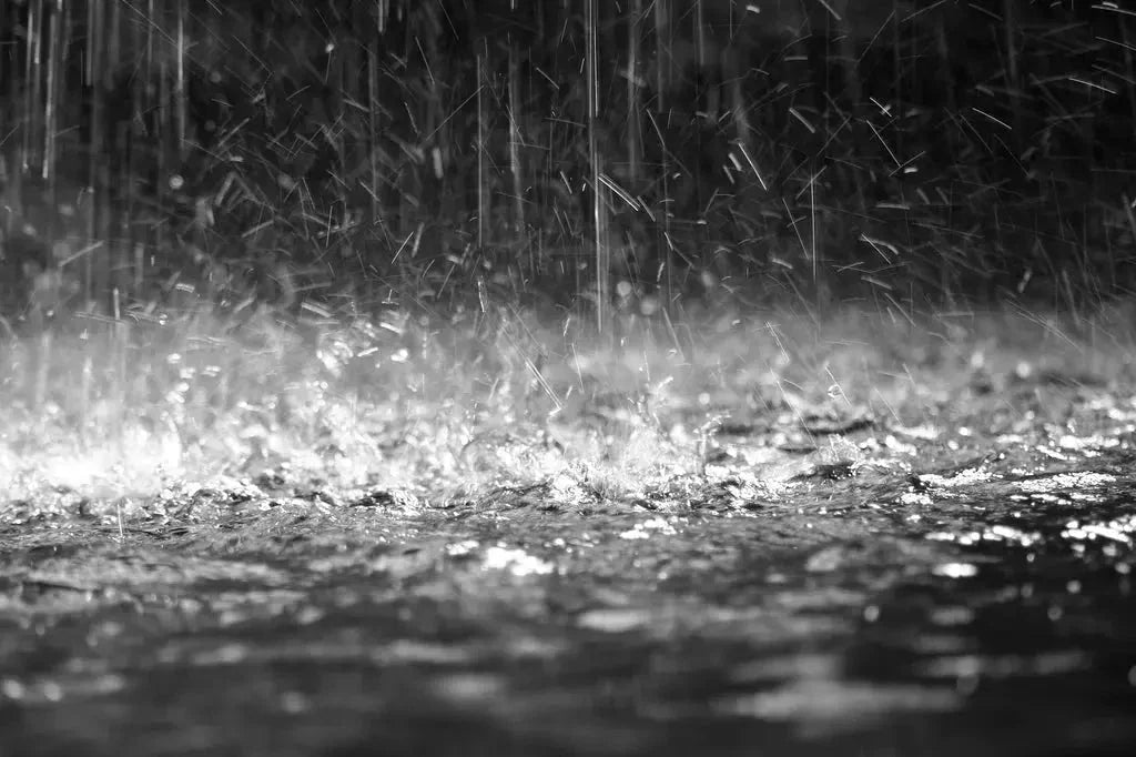 Fragrance Oil -Rain