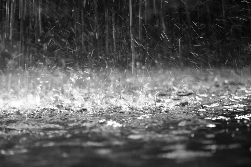 Fragrance Oil -Rain