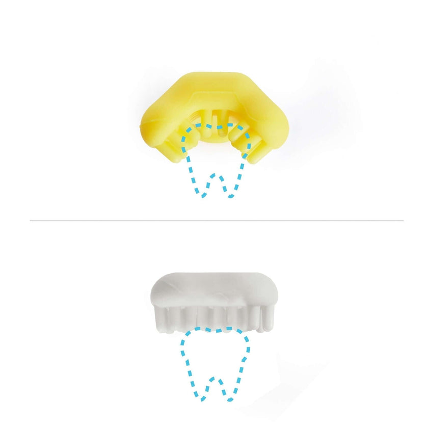 FridaBaby Training Toothbrush for Babies 6M+