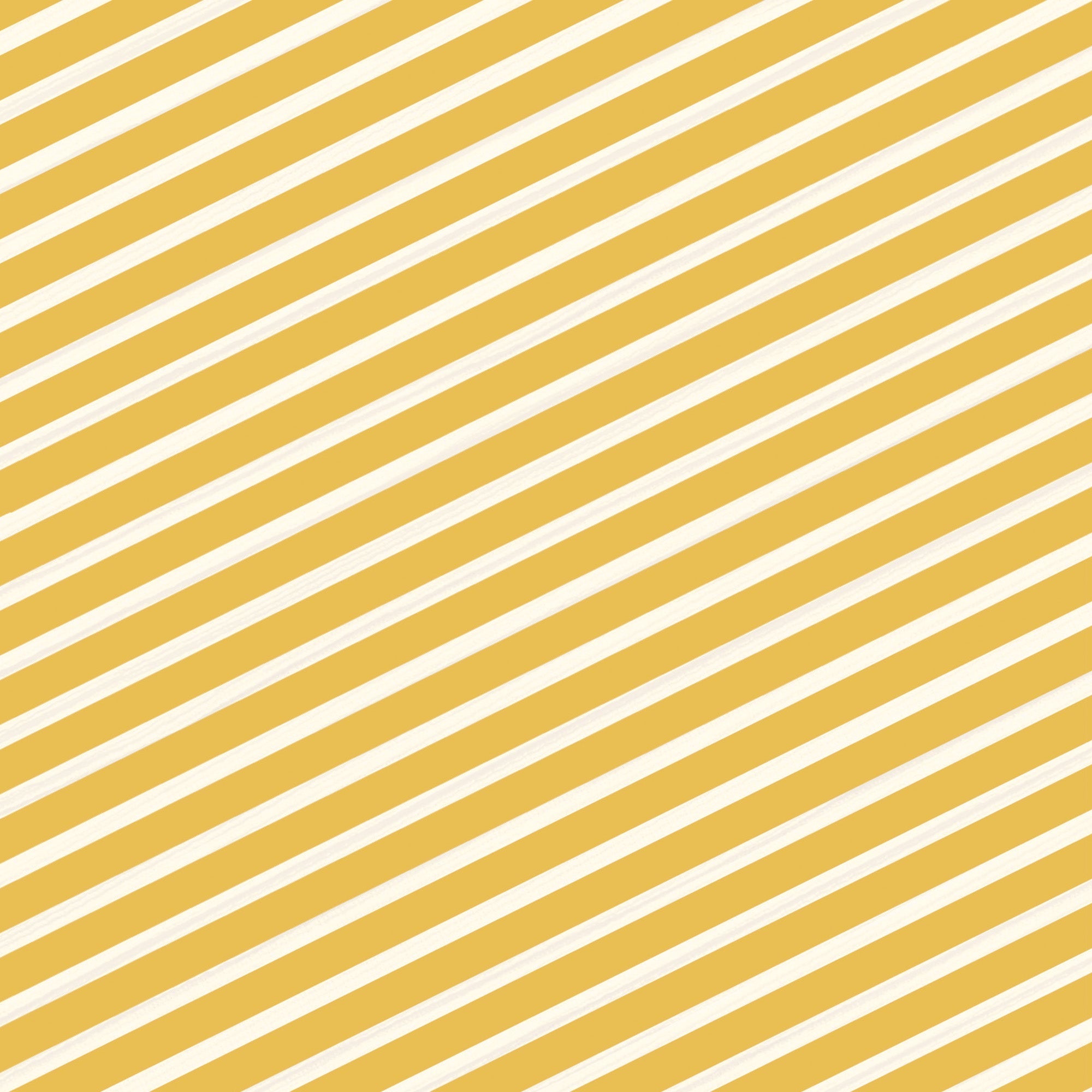 Crafter’s Companion Celebrate Good Times Collection - 6”x6” Paper Pad 