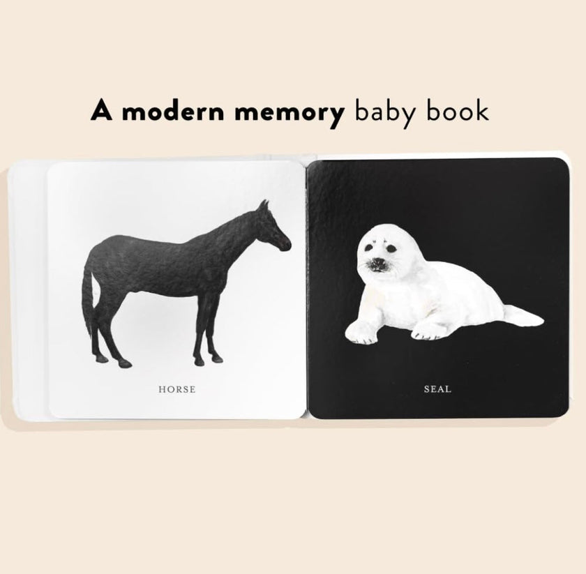Baby's Black and White Contrast Book | Books
