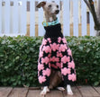 Pawsh Petals Sweater – Pink & Black Crochet Luxe Knit