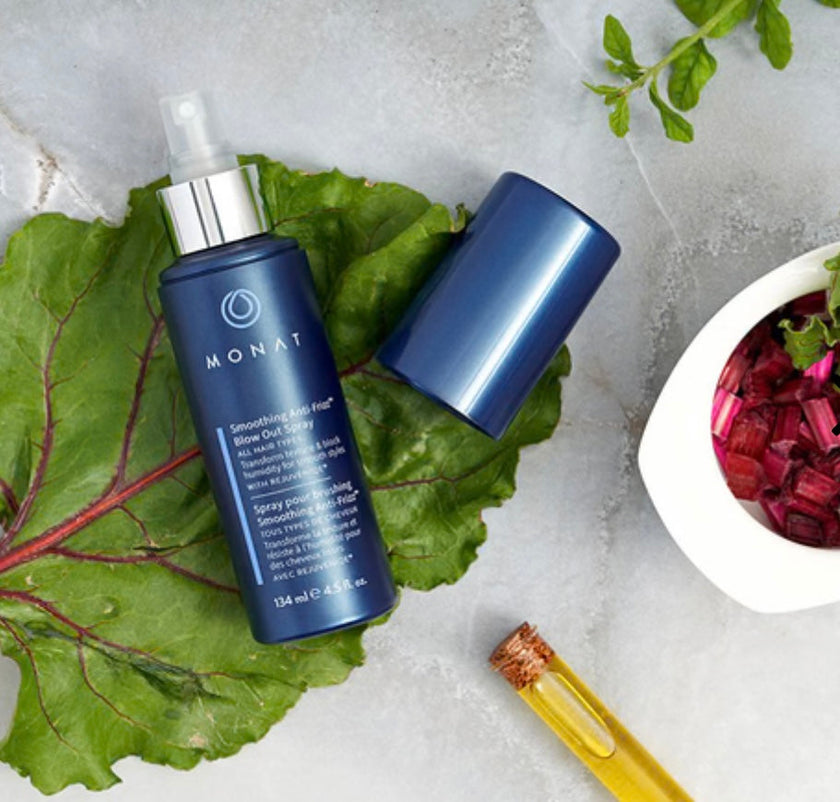 Spray pour brushing Smoothing Anti-Frizz