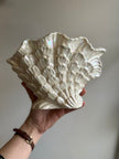 Vintage 1980s Maddeaux White Pearl Lustre Glaze Shell Shaped Vase
