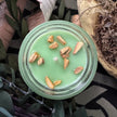 Palo Santo Magical Cleansing Aromatherapy Candle