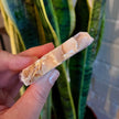 Savon doux NÉFERTITI cire d'abeille, curcuma et calendula