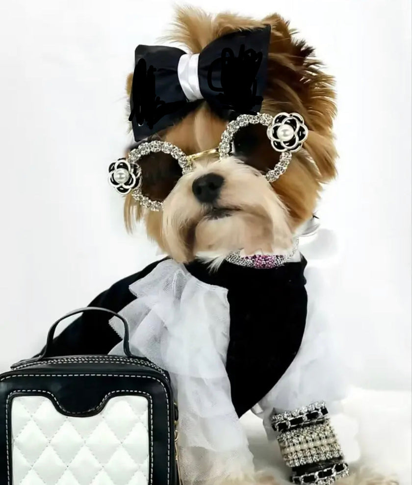 Coco Chewnel Rhinestone Dog Sunglasses | Fashion Pet Eyewear