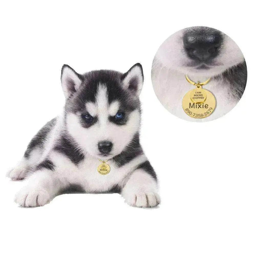 Funny Personalized POD Collar Pet ID Tag Keychain