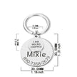 Funny Personalized POD Collar Pet ID Tag Keychain