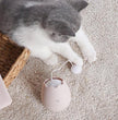 Egg-Shaped Interactive Cat Toy with Dangling Ball – Battery-Operated (Green, White, Pink)