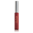 High-Shine Lip Gloss