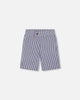 Slant Pocket Bermuda Shorts Royal Blue Striped