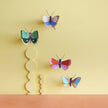 Gold Rim Butterfly