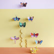 Gold Rim Butterfly