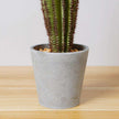 Goza Artificial Cactus Tree Potted Plant 9