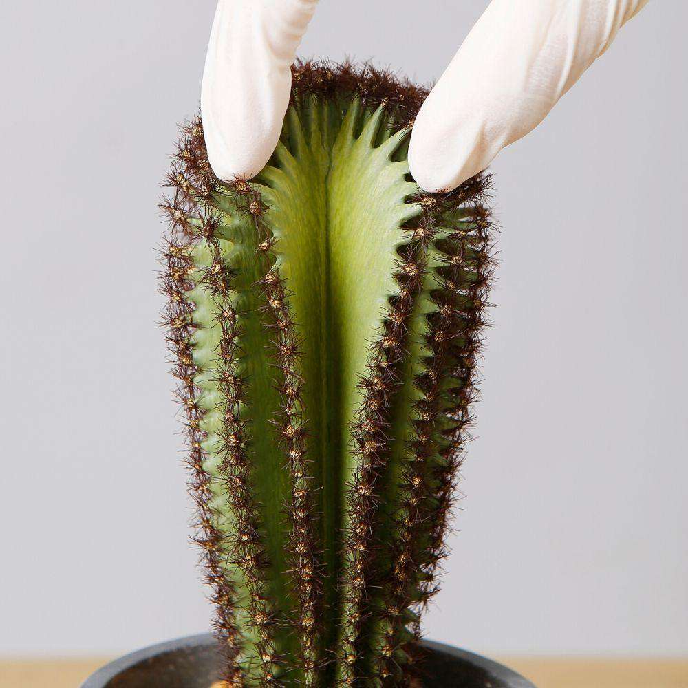 Goza Artificial Cactus Tree Potted Plant 9