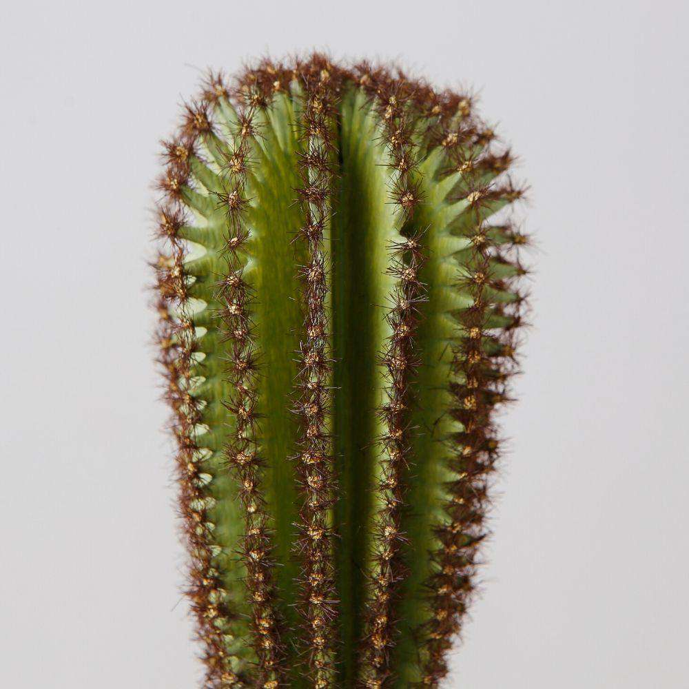 Goza Artificial Cactus Tree Potted Plant 9