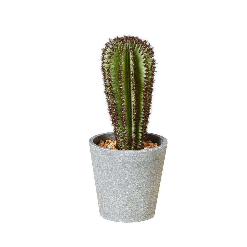Goza Artificial Cactus Tree Potted Plant 9