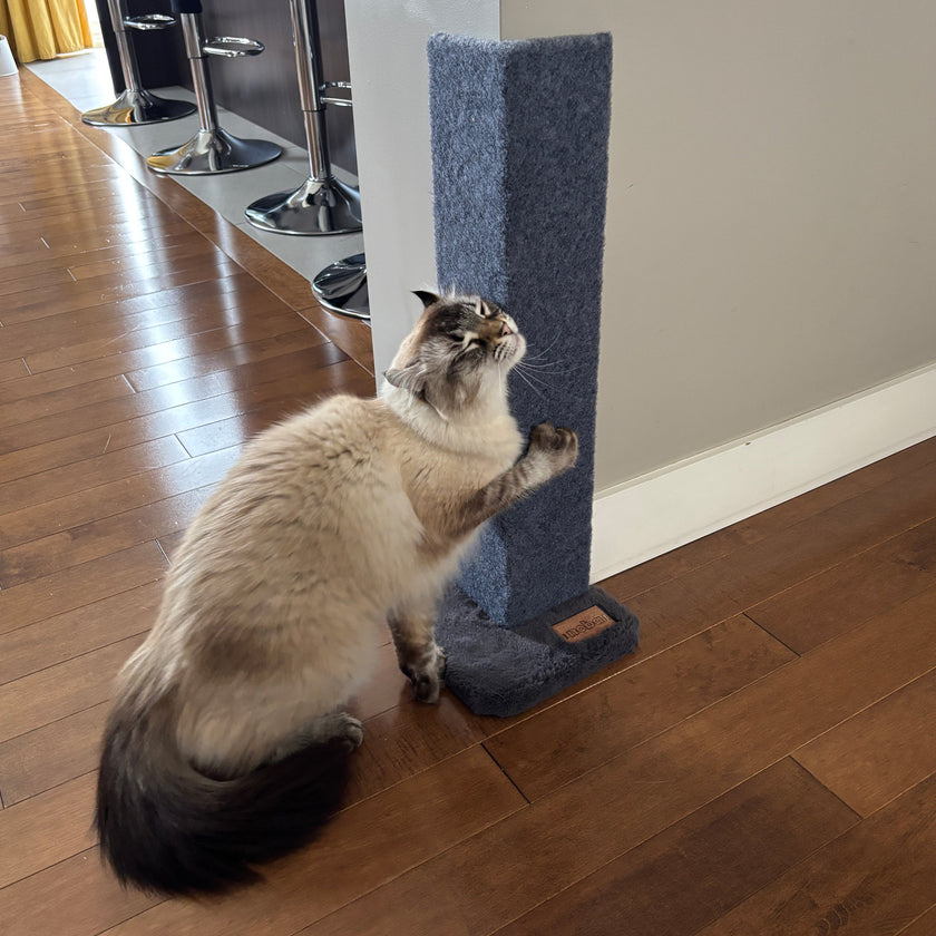 Noba Corner Cat Scratcher and Protector - 23 Inch