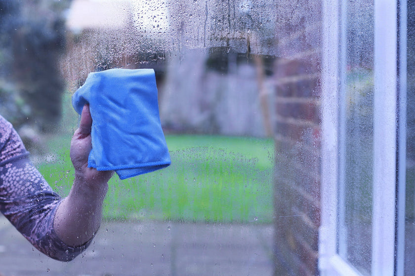 GREENER CLEANER - Window Cleaning Kit 2/ST