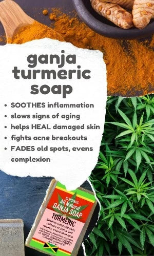 ALL NATURAL HEMP TURMERIC FACE & BODY BAR
