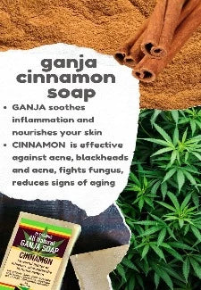 ALL NATURAL HEMP CINNAMON FACE & BODY BAR