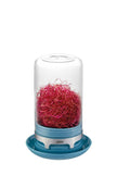 Gefu - Sprouting Jar Bivita Azure Blue