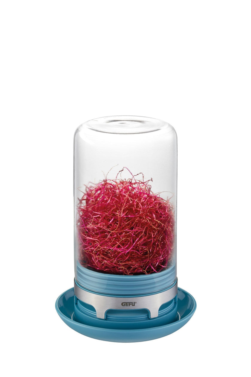 Gefu - Sprouting Jar Bivita Azure Blue