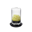 Gefu - Sprouting Jar Bivita